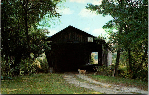 VT,  PITTSFORD - Covered Bridge postcard - wK0329