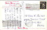 NV, LAS VEGAS - Fabulous Flamingo postcard - wk0367