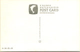 Greetings - Misc - Fantasy FAIRIES of the WOODS postcard - wv0033