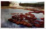 WY, YELLOWSTONE - Sapphire Pool & Biscuit Basin, Yellowstone Park postcard - WY0001