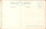 WY, YELLOWSTONE - Sponge Geyser closeup, Yellowstone Park postcard - WY0003