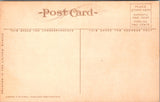 WY, YELLOWSTONE - West Side of Pulpit Terrace, Yellowstone Park postcard - WY0005