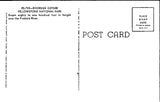 WY, YELLOWSTONE - Riverside Geyser, Yellowstone Park postcard - WY0008