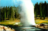 WY, YELLOWSTONE - Riverside Geyser, Yellowstone Park postcard - WY0008