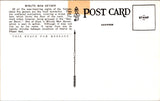 WY, YELLOWSTONE - Minute Man Geyser, Yellowstone Park postcard - WY0009