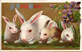 Easter - momma white rabbit with 3 kits postcard - 2k0847