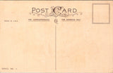 Easter - boy and girl showing rabbit to chick - Series 783C postcard - 2k0849
