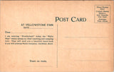 WY, Yellowstone - Wylie Dining Tent interior - Haynes-Pub postcard - 2k1072