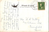 NH, Newport - Corbins Park, Herd of Buffalo - J W Johnson postcard - 2k0499