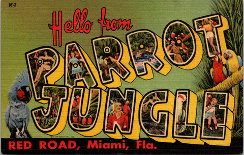 FL, Miami - Greetings from Parrot Jungle - Large Letter postcard - 2k0536