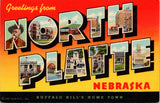 NE, NORTH PLATTE - Greetings from - Large Letter postcard - 2k0538