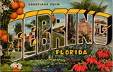 FL, SEBRING - Greetings from - Large Letter postcard - 2k0543