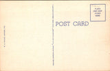 FL, Sebring - Greetings from - Large Letter postcard - 2k0543