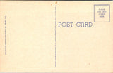 FL, MIAMI BEACH - Greetings from - Large Letter postcard - 2k0545