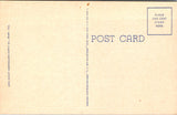 FL, Miami Beach - Greetings from - Large Letter postcard - 2k0545