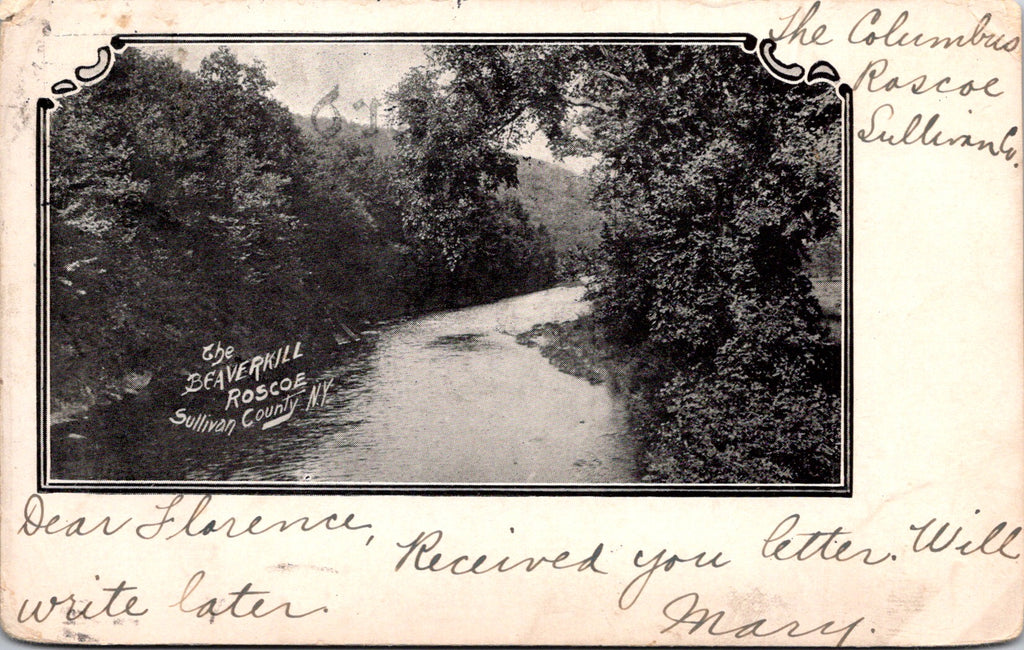 NY, Roscoe - The Beaverkill, Columbus River - 1905 postcard - 2k0631