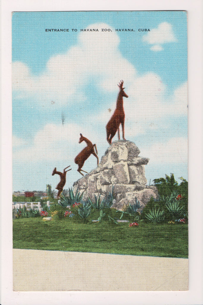 Foreign postcard - HAVANA, Cuba - ENTRANCE TO ZOO with deer- 2k1229