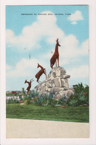 Foreign postcard - HAVANA, Cuba - ENTRANCE TO ZOO with deer- 2k1229