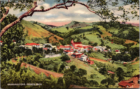 PR, Barranquitas - bird eye view - vintage linen postcard - 2k1329