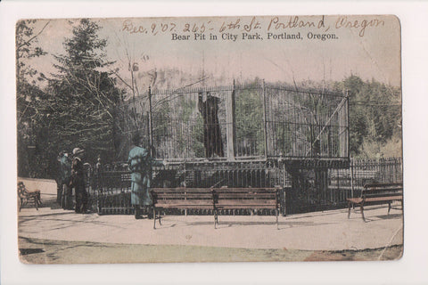 Animal - Bear postcard - City Park - Portland, OR - 500184