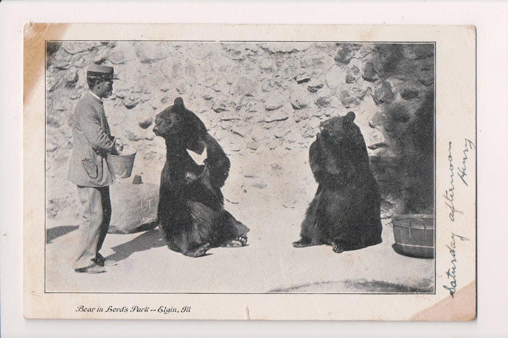 IL, ELGIN - Lords Park - Bear postcard - 500221