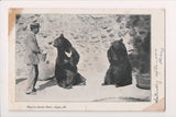 IL, ELGIN - Lords Park - Bear postcard - 500221