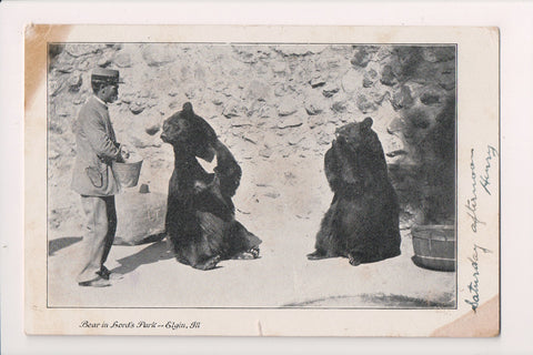 Animal - Bear postcard - Lords Park - Elgin, IL - 500221