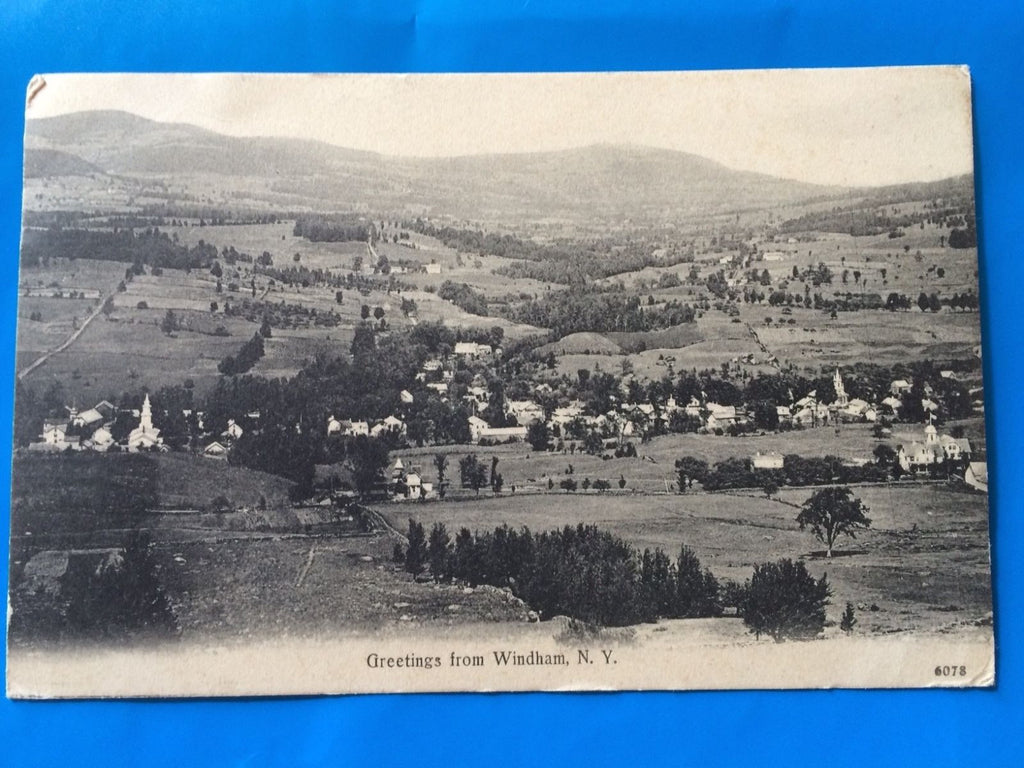 NY, Windham - Greetings From showing Bird Eye view of town - H15044