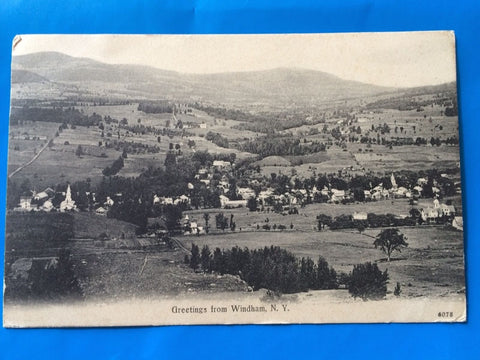 NY, WINDHAM - Greetings From showing Bird Eye view of town - H15044