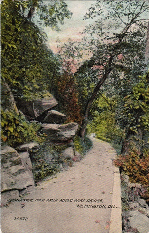 DE, WILMINGTON - Brandywine Park walk above Wire Bridge postcard - K04085