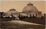 MI, Detroit - Floral Conservatory, Belle Isle - Norwood postcard - I03264