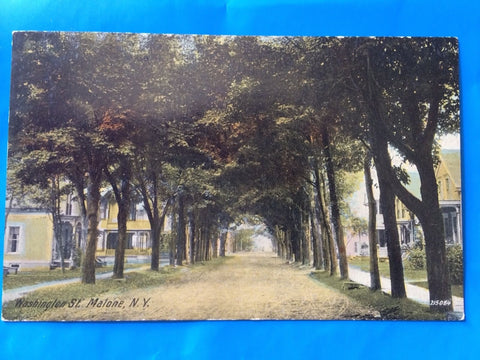 NY, Malone - Washington St postcard - H15048