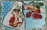Vintage Patriotic Nash Postcard Young Washington with ax and branch - w02244