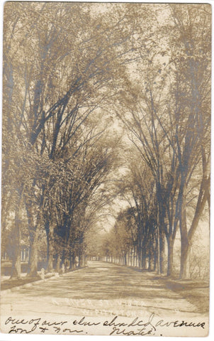 PA, WEST PITTSTON - River Street Vista RPPC postcard - B06444
