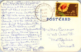 CO, Berthoud Pass Lodge - buildings, cars, people - 1964 postcard - 800160