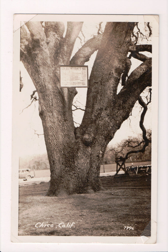 CA, CHICO - Hooker Oak sign in tree - RPPC - 1935 postcard - A06894