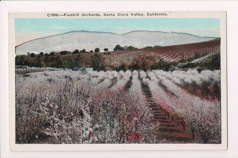 CA, Santa Clara Valley - Foothill Orchards - old postcard - A06929