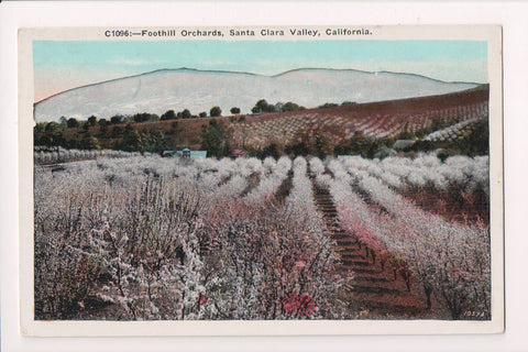 CA, SANTA CLARA VALLEY - Foothill Orchards - old postcard - A06929