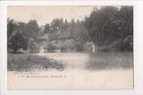 OH, Painesville - PROJECTING ROCK, buildings - Rotograph Co postcard - A07139