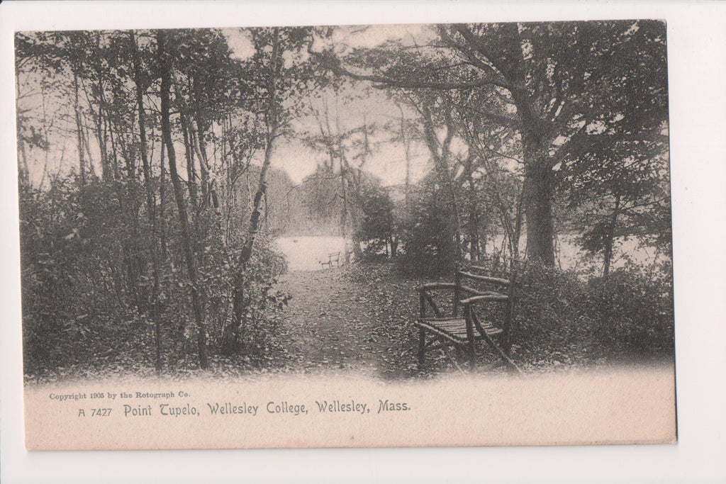 MA, Wellesley - Point Tupelo at college postcard - A17059