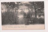 MA, WELLESLEY - Point Tupelo at college postcard - A17059