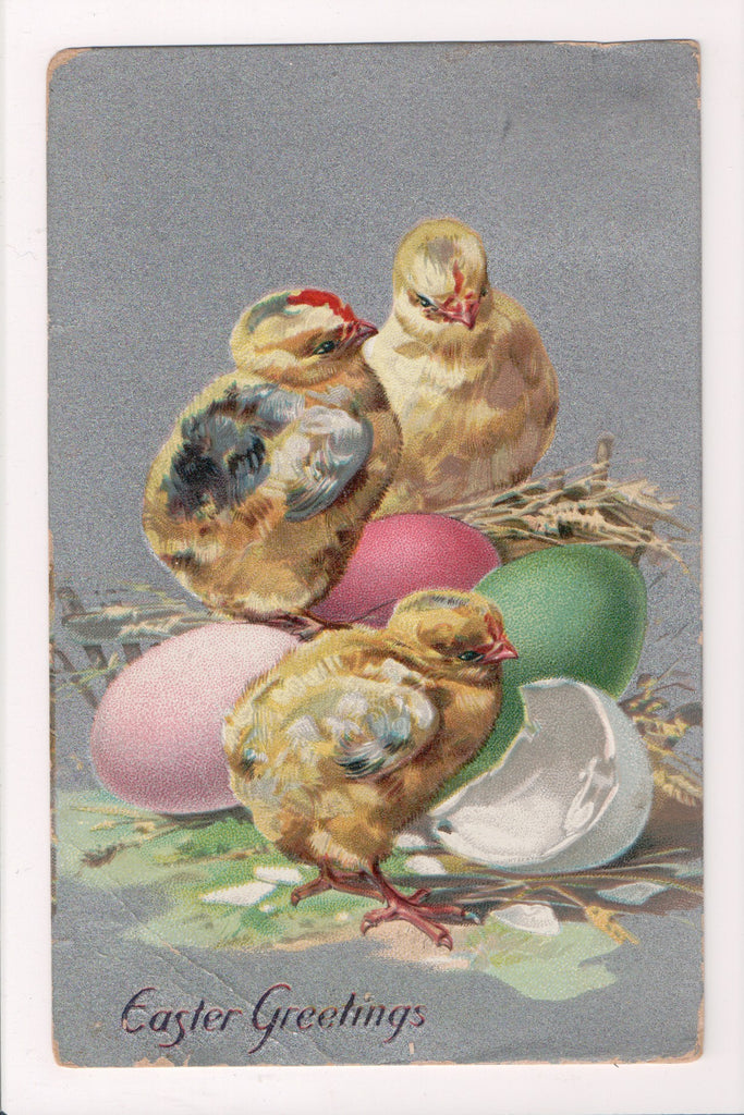 Easter postcard - little chicks around pink, green and red eggs - A19007