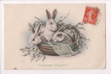 Easter postcard - 3 rabbits in a basket with pussy willows - A19014