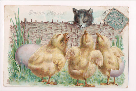 Easter postcard - kitten looking over fence at chicks - A19048
