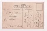 Easter postcard - EASTER JOYS w/cat, ducks and bunny - A19050