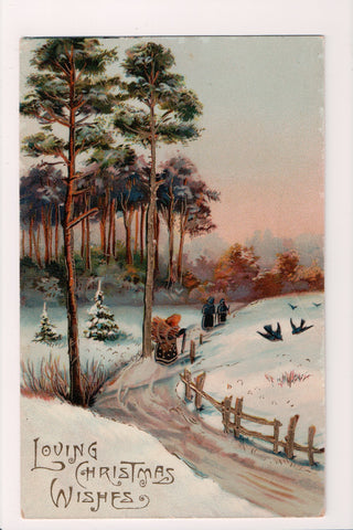 Xmas postcard - Christmas - Paul Finkenrath #9046/47 - A19379