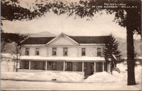 NY, Wells - Potters Lodge on Lake Algonquin - vintage postcard - A19447