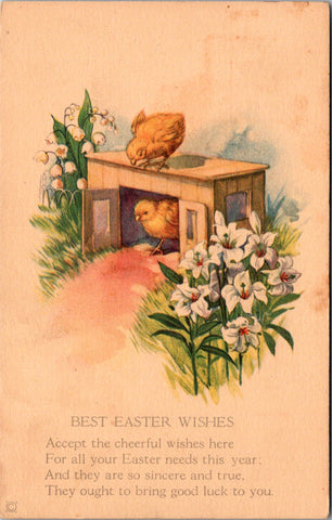 Easter - chick on roof of little coop with lilies, lilies of the valley postcard