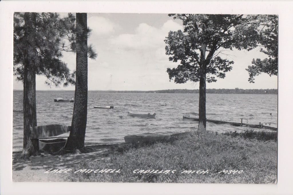 MI, CADILLAC - LAKE MITCHELL view - RPPC - B04021