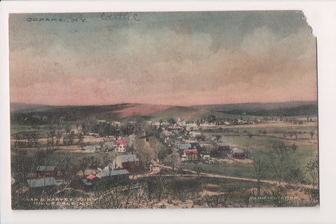 NY, Copake - Bird Eye View - vintage postcard - B06181